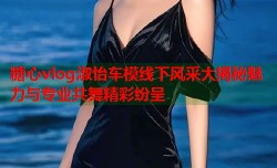 糖心vlog淑怡车模线下风采大揭秘魅力与专业共舞精彩纷呈